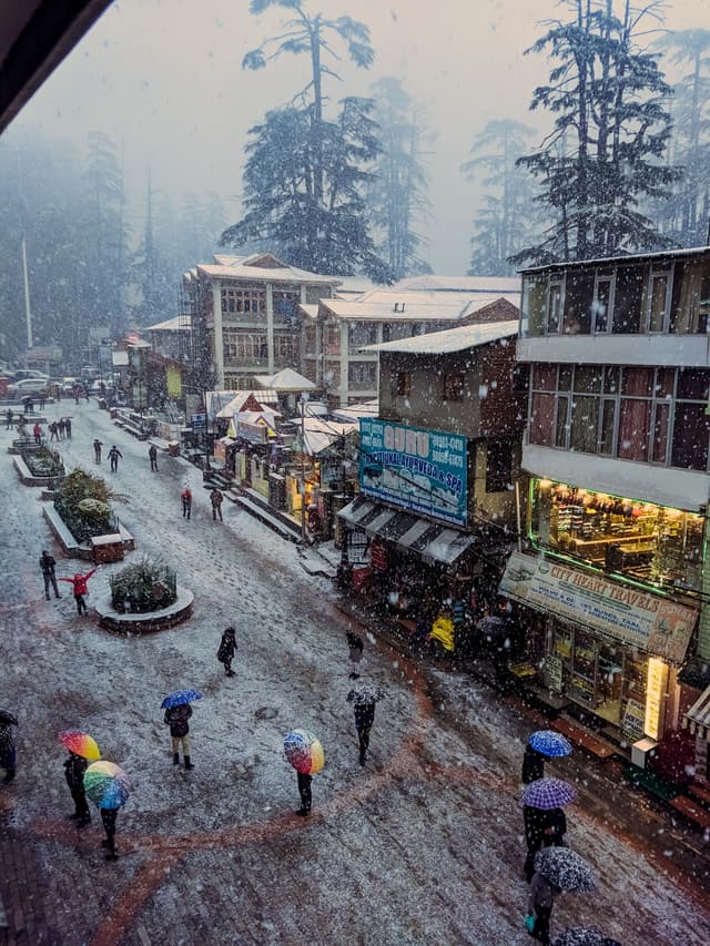 Tours and travels Available from Walia Travels - Amritsar, Jaipur, Agra, Himachal Pradesh, Uttrakhand, Delhi 